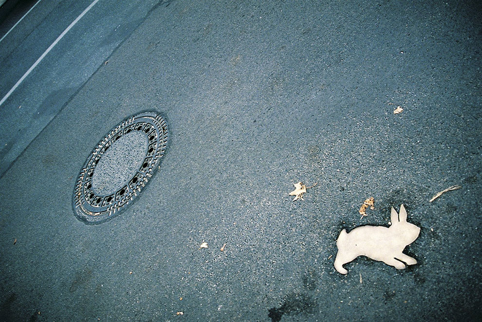 Królik po berlińsku